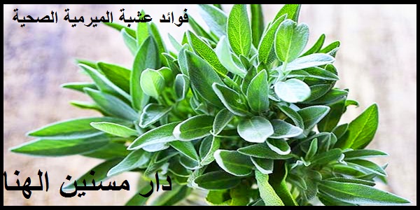 رعاية مسنين