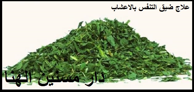 رعاية المسنين