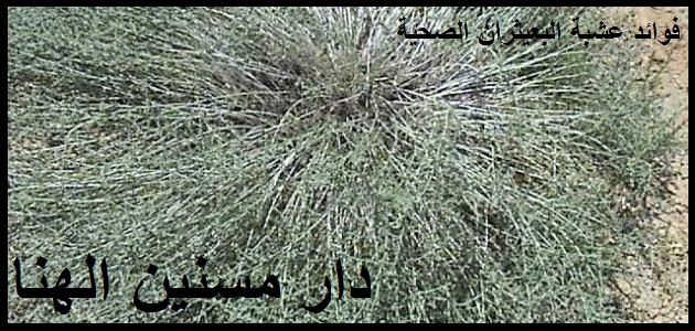 رعاية المسنين