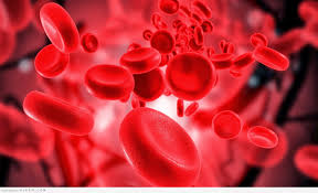ما أنواع فقر الدم